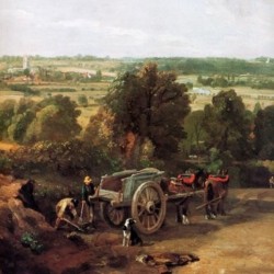 A carriage and a dog at the edge of a city
